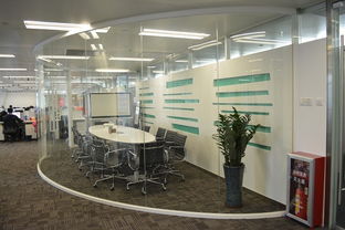 因私出入境中介服务 前景广阔，机遇与挑战并存