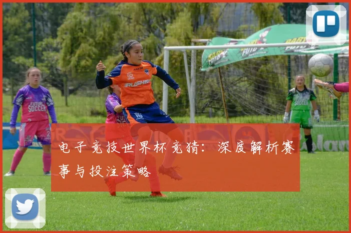 电子竞技世界杯竞猜：深度解析赛事与投注策略